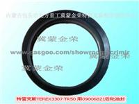 Rear Oil Seal 09006821