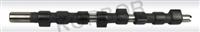 Camshaft Fiat 437mm