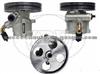 Power Steering Pump (For PEUGEOT 4007V9)