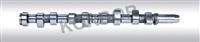 Camshaft Ford 89ff6250aa