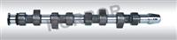 CAMSHAFT FORD 028.109.101F