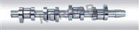 CAMSHAFT FORD 038.109.101R