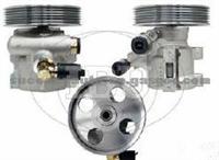 Power Steering Pump (For PEUGEOT 9624659580)