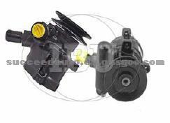 Power Steering Pump (For PEUGEOT 4007OF)