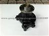 Water Pump D427