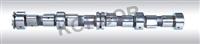 CAMSHAFT LADA 21010-1006010-20