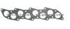 Cylinder Head Gasket (For HYUNDAI MD050482)