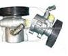 Power Steering Pump (For PEUGEOT 9632335380)
