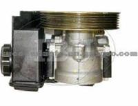 Power Steering Pump (For PEUGEOT 40076E)