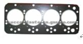Cylinder Head Gasket (For IVECO 10054100)