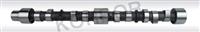 CAMSHAFT PERKINS 31415374