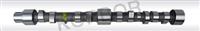 CAMSHAFT PERKINS 31415375