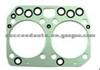 Cylinder Head Gasket (For MAN 10077600)
