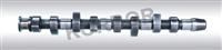 CAMSHAFT VW 068.109.101B,D