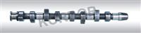 CAMSHAFT VW 068.109.101