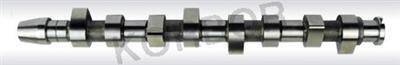 CAMSHAFT VW 038.109.101K