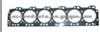 Cylinder Head Gasket (For OTHERS 3935585)