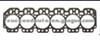 Cylinder Head Gasket (For OTHERS 10059400)