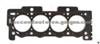 Cylinder Head Gasket (For OTHERS 10040500)