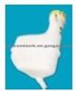 EXPANSION TANK FOR Chery S11-1311110