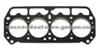 Cylinder Head Gasket (For PEUGEOT 13166700)