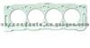 Cylinder Head Gasket (For PEUGEOT 10118400)
