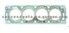 Cylinder Head Gasket (For PEUGEOT 0209.Y5)