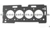 Cylinder Head Gasket (For PEUGEOT 415010P)