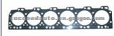 Cylinder Head Gasket (For OTHERS 3931019)
