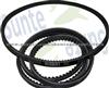 FAN BELT AUTO V BELT