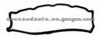 Cylinder Head Gasket (For PEUGEOT 91508054)
