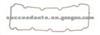 Cylinder Head Gasket (For PEUGEOT 0249.70)