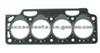Cylinder Head Gasket (For RENAULT 411369P)