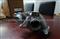 High Quality T4 Turbo For Sale - img2