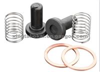 Repair Kit For OM911 Fuel Pump 2447010011