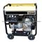 Diesel Electric Welding Generate Sets (SIN300DH)