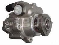 Power Steering Pump (For VOLKSWAGEN 1030327)