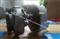Cheap Ford Transit Turbocharger - img5