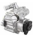 Power Steering Pump (For VOLKSWAGEN 7691955244)