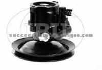 Power Steering Pump (For VOLVO 1359652)