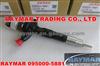 DENSO Common Rail Injector 095000-5880 For TOYOTA 23670-30050 23670-39095,23670-39096