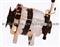 6BB1 Alternator -ISUZU DIESEL ENGINE PARTS - img3