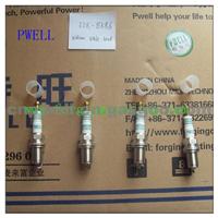 EIX-BKR6 Spark Plug