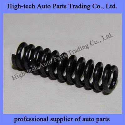 Qijiang Transmission Compression Spring 1311 304 021