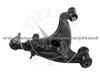 Control Arm 1243301907 For BENZ
