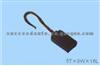 Carbon Brush For FIAT 9983359-74876641(SET)