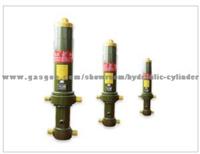 4TG-E175×5390 Front-End Hydraulic Cylinder