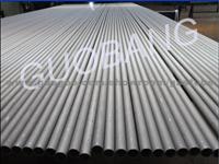 Stainless Steel Seamless Pipe/Tubes