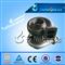 High Quality Caterpillar 313272 4LF302 Turbo - img3