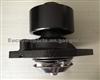 DAF Truck Water Pump CBU2148 3286277